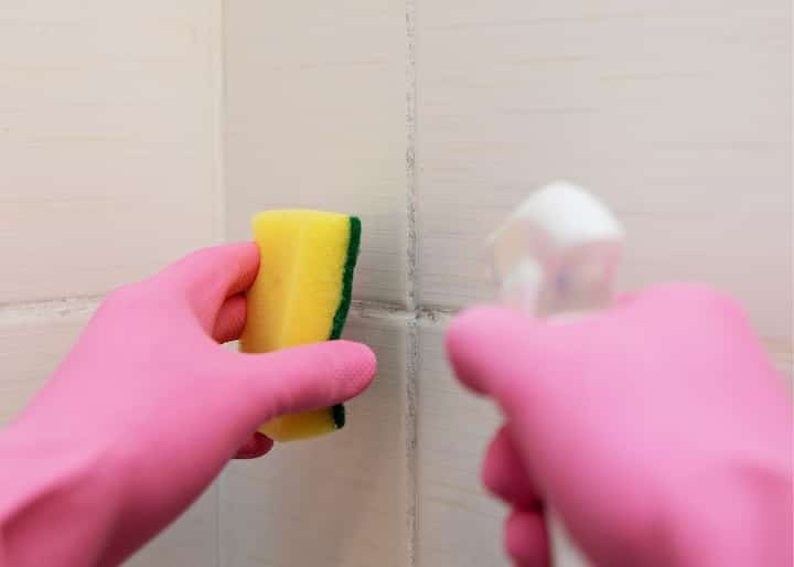 Albany NY Mold Remediation