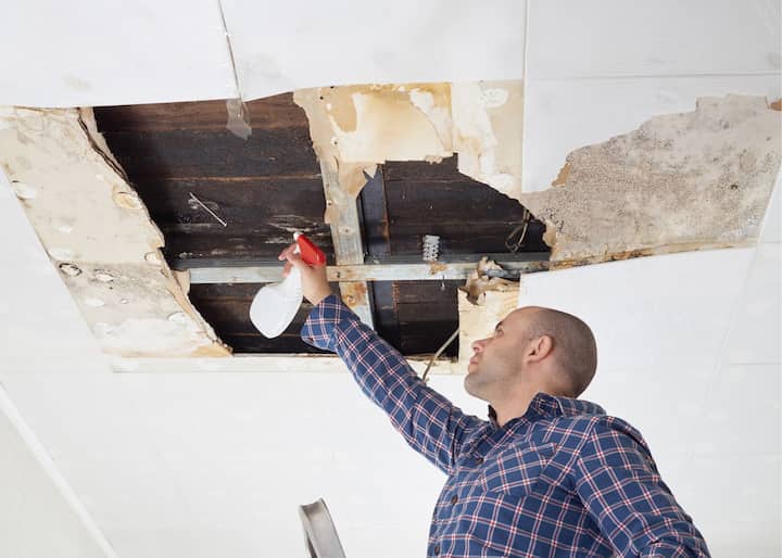 Mold Removal Albany NY
