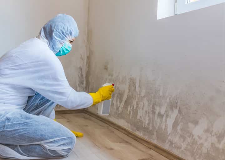 Mold Remediation Albany NY