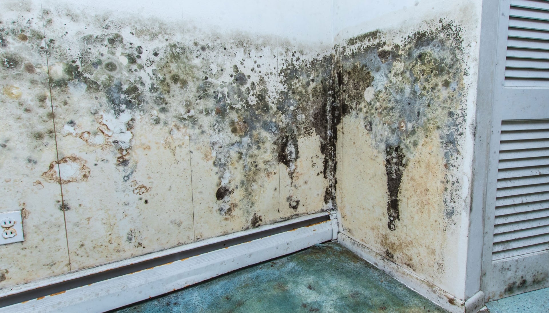 Professional mold removal, odor control, and water damage restoration service in Albany, New York.