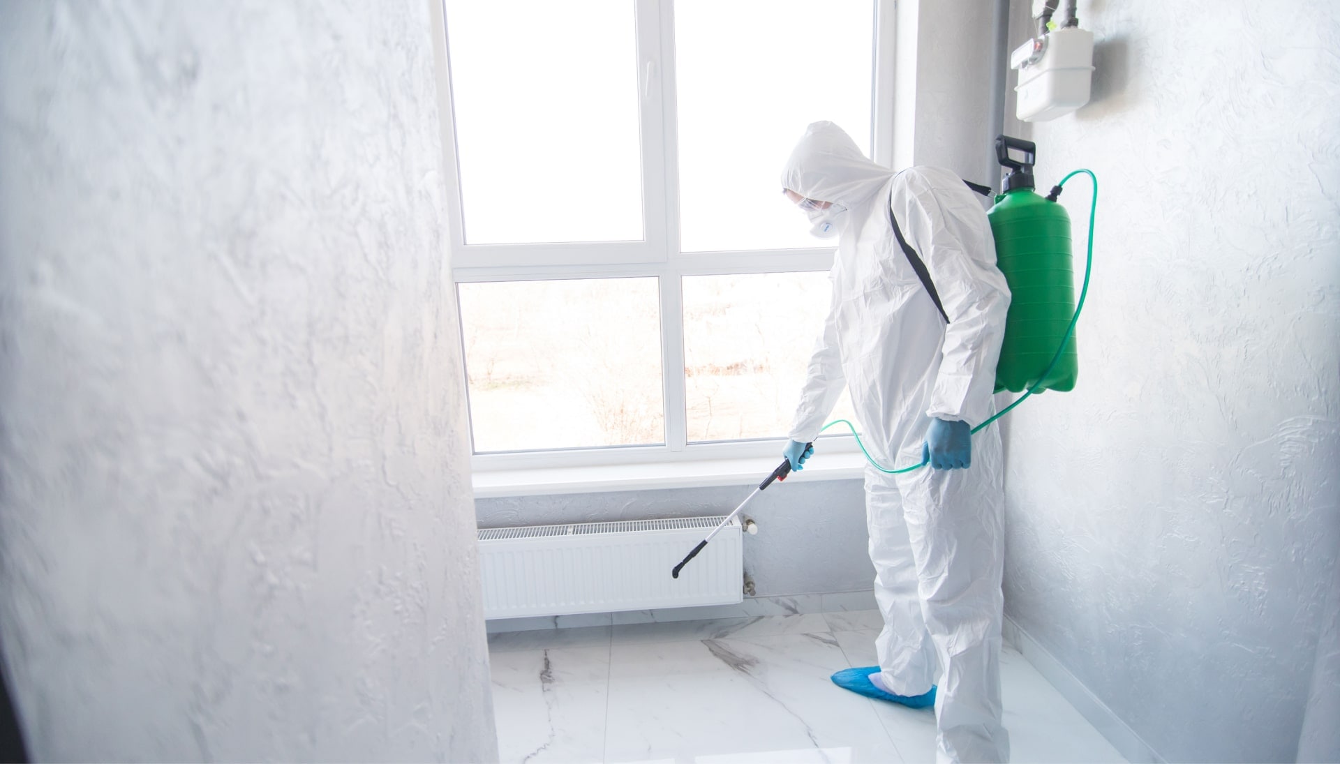 We provide the highest-quality mold inspection, testing, and removal services in the Albany, New York area.